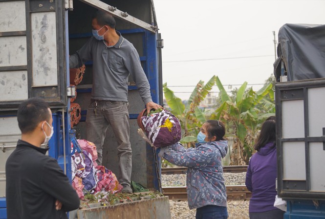 Nông sản của Hải Dương chuyển xe vận tải trước trạm kiểm soát COVID-19 của TP Hải Phòng