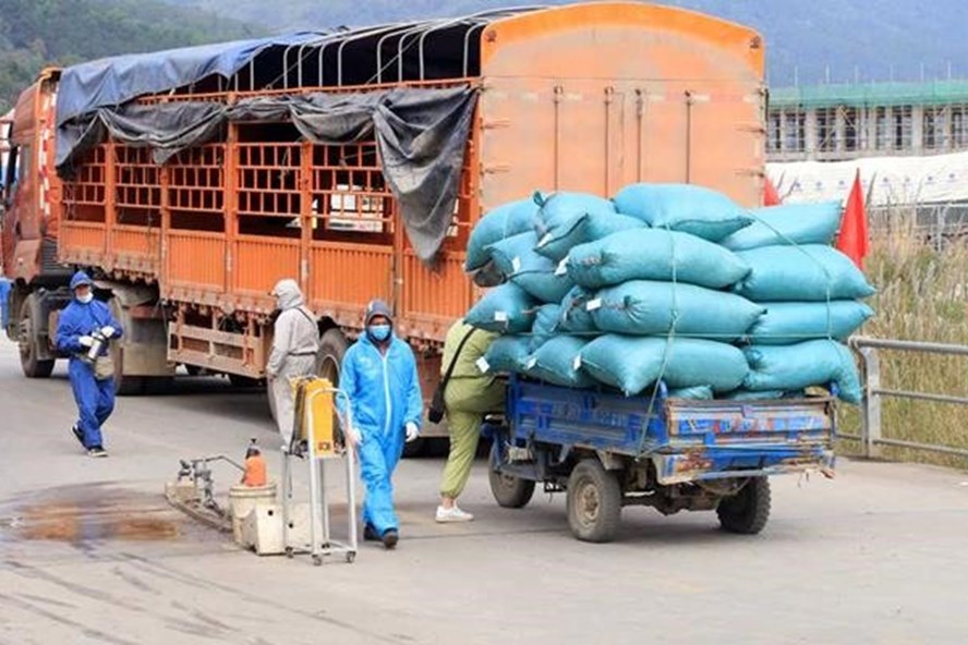 Ban hành quy chế phòng, chống dịch trong hoạt động vận tải để  không “ngăn sông, cấm chợ”