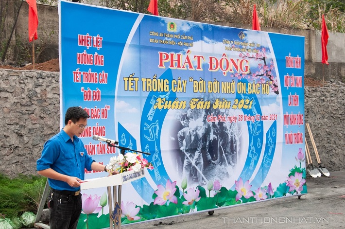 thn thong nhat