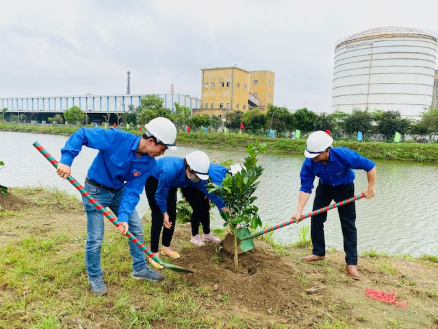 Tết trồng cây