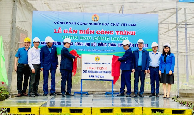 Tết trồng cây
