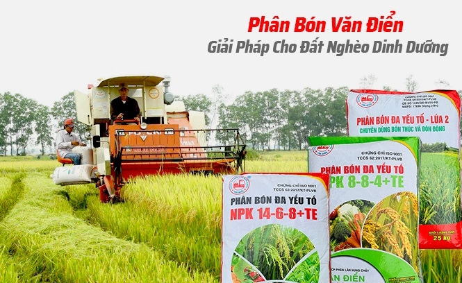 phan van dien