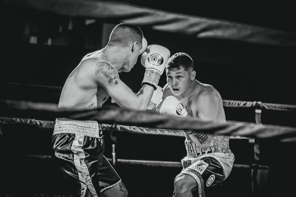 Võ sĩ Boxing