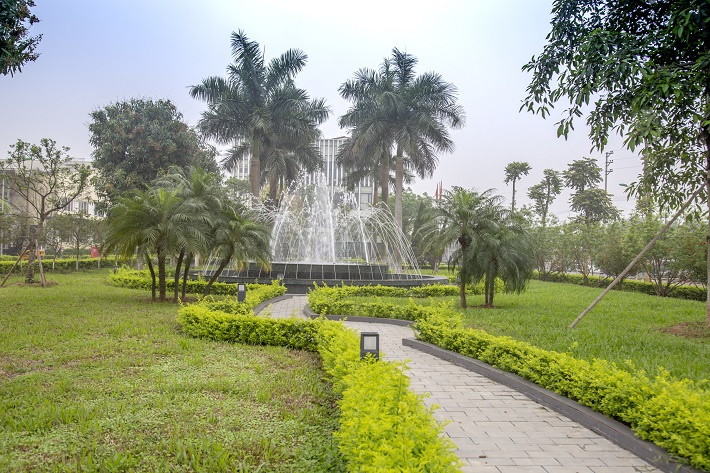 cây xanh được bao phủ tại công ty