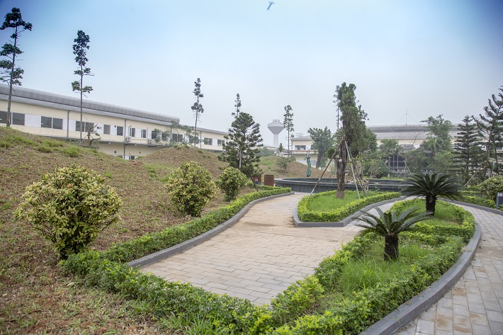 Cây xanh luôn được trồng mới