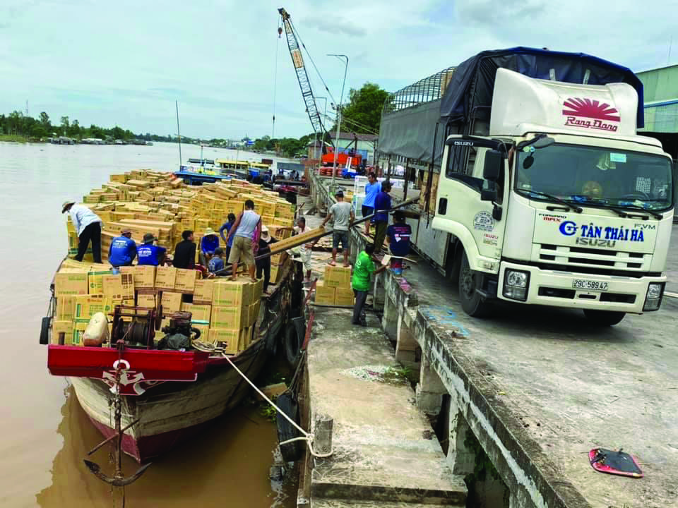 Công ty CP Bóng đèn phích nước Rạng Đông