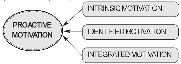 Proactive motivation model (Sharon et al, 2010)