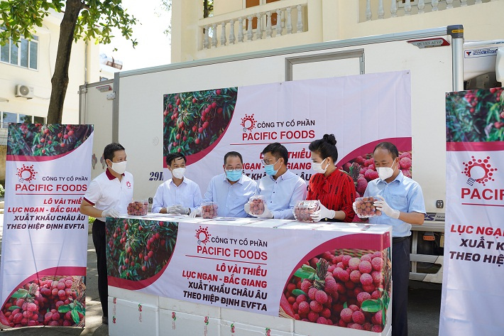 Vải Lục Ngạn