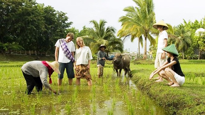 Homestay tại Hội An đang ngày càng được du khách ưa chuộng