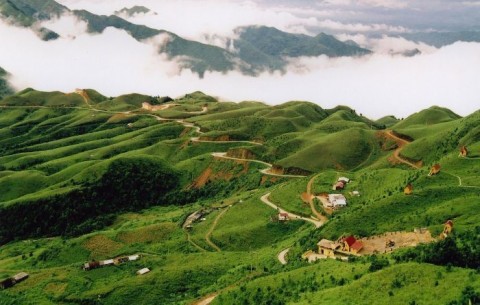 ang van hoa
