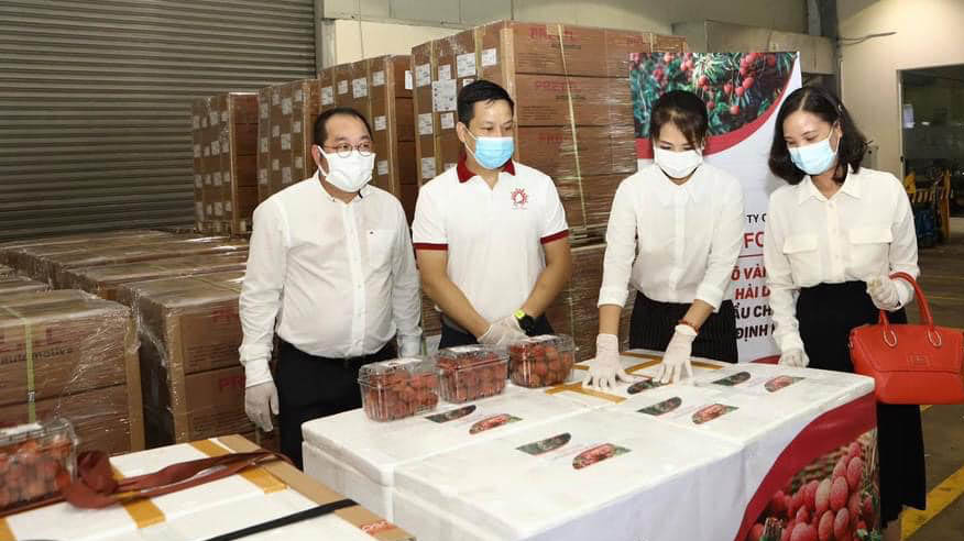 Lô vải thiều Việt Nam đầu tiên Cwin Đăng Ký + 1888k theo Hiệp định EVFTA