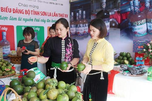nong san