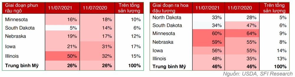 Tiến độ canh tác cây trồng