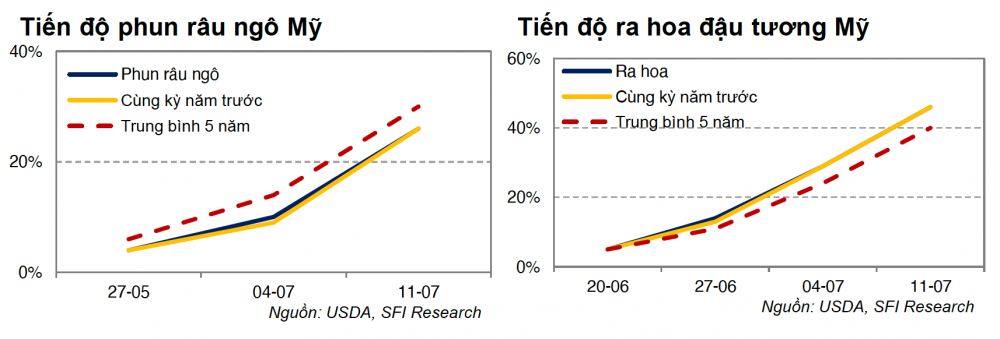 Tiến độ cây trồng