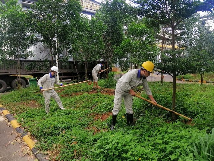Cán bộ nhân viên Công ty Nhôm Đăk Nông – TKV chăm sóc môi trường xanh tại Công ty