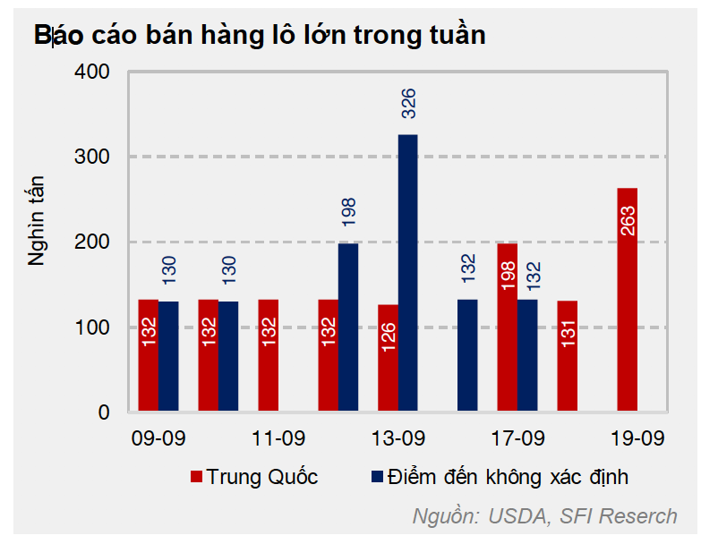 Cwin com sòng bạc trực tuyến đậu tương 