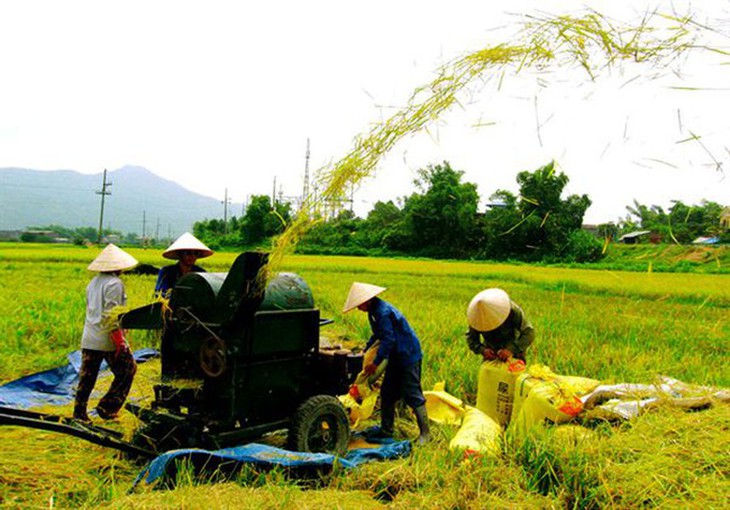 Các chương trình mục tiêu quốc gia hỗ trợ phát triển Nền tảng hàng đầu cung cấp Cwin com, đa hạng hóa sinh kế để nâng cao thu nhập của người dân