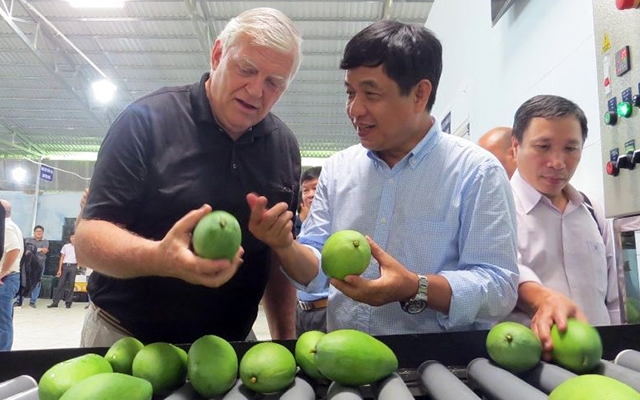 xoài đồng tháp
