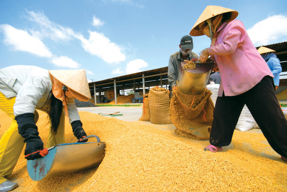 tiêu thụ nông sản vùng đồng bằng sông cửu long