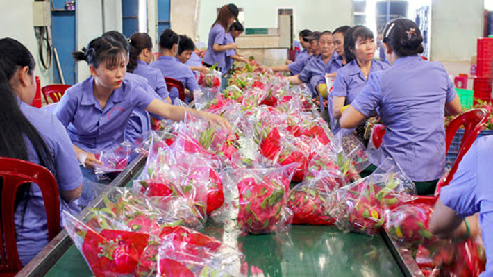 Cwin Đăng Ký + 1888k thanh long việt nam