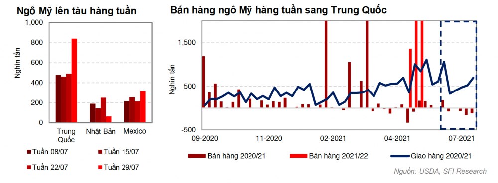 Cwin com sòng bạc trực tuyến ngô