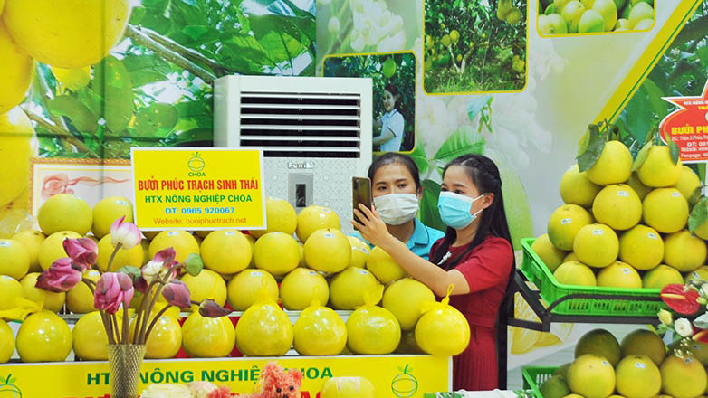 bưởi phúc trạch