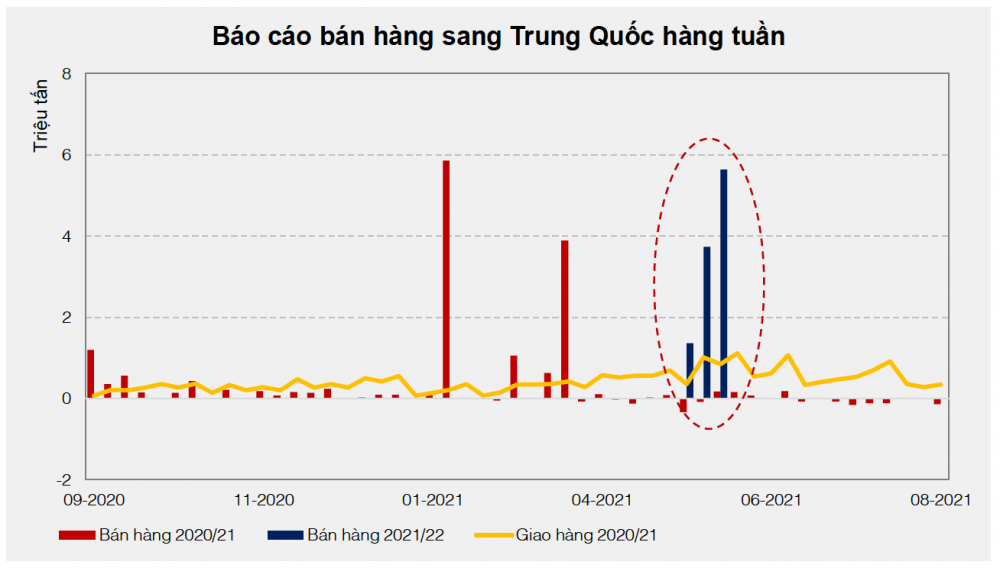 Cwin com sòng bạc trực tuyến sang Trung Quốc