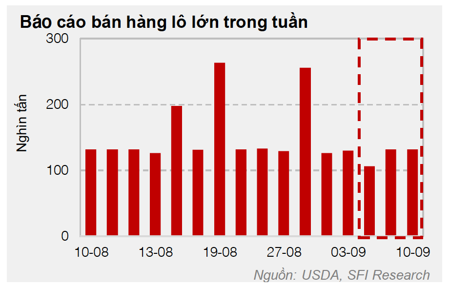 Cwin com sòng bạc trực tuyến đậu tương