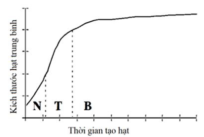 cac-giai-doan-cua-qua-trinh-tao-hat