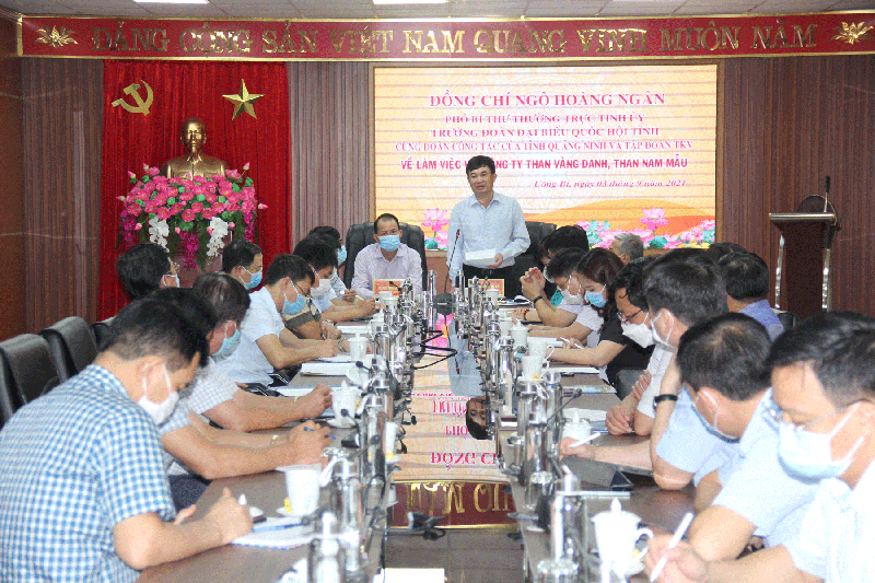 TKV đồng hành cùng Quảng Ninh phòng chống dịch và phát triển kinh tế