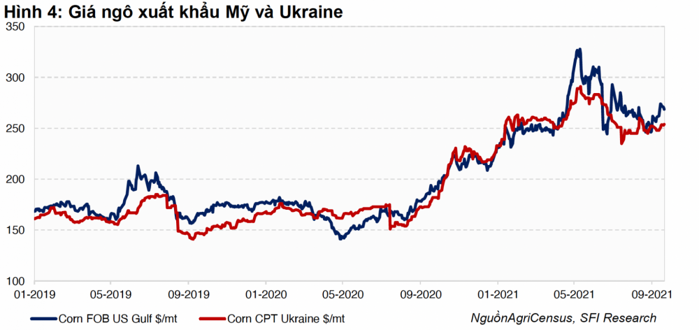Giá ngô Cwin Đăng Ký + 1888k