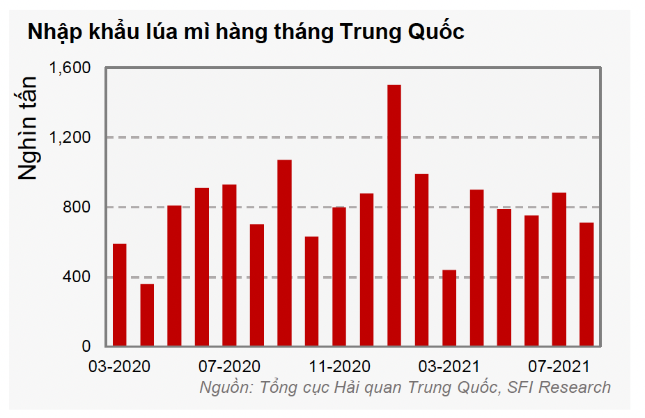 Nhập khẩu lúa mì