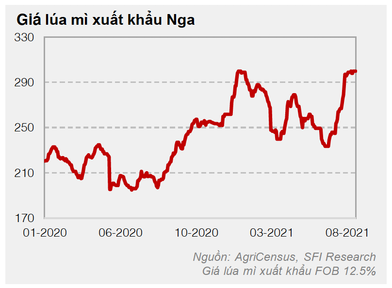 Giá lúa mì Cwin Đăng Ký + 1888k