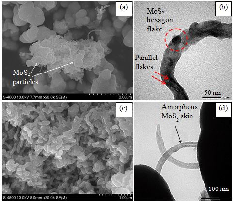 sem-and-tem-images-crystalline