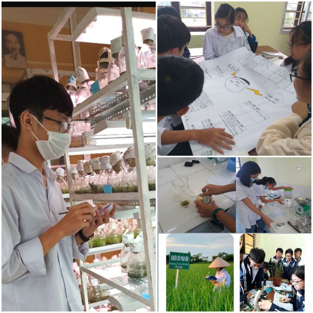 Các em học sinh Trường THPT Đông Thụy Anh say mê với hoạt động Nghiên cứu KHKT