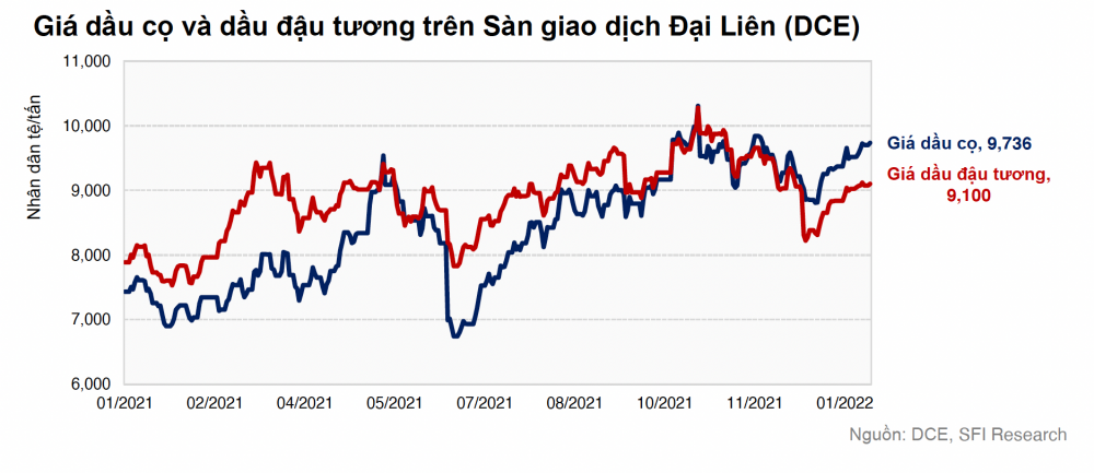 giá dầu cọ