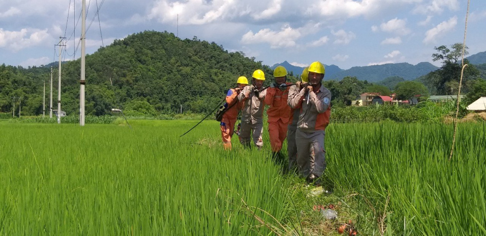 Công ty đã thực hiện tốt công tác thu nộp tiền điện, tỷ lệ thu tiền điện các tháng luôn đạt 100%