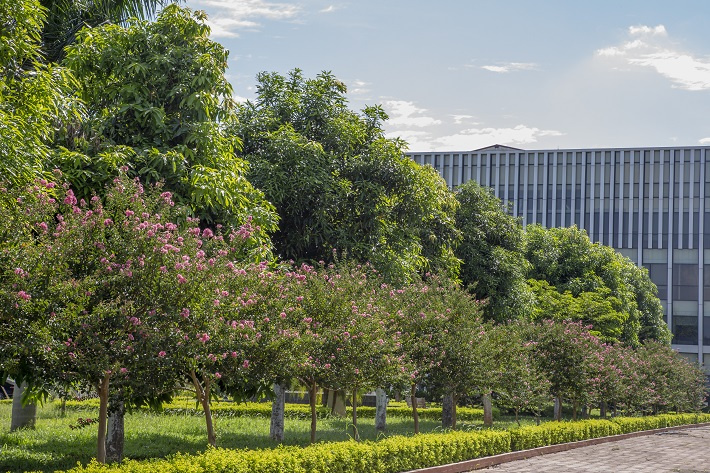 Hệ thống cây xanh được bao quanh nhà máy