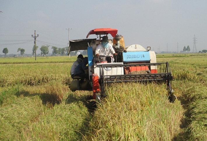 sản phẩm OCOP