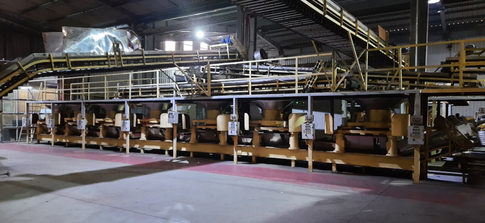 chế biến chè xanh sao lăn chất lượng cao