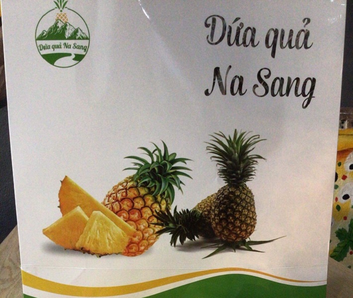 Liên minh HTX Điện Biên