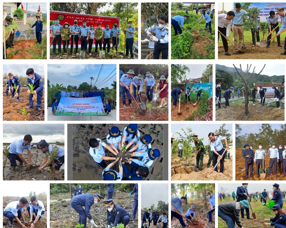 Quản lý thị trường