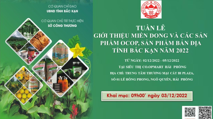 Miến dong