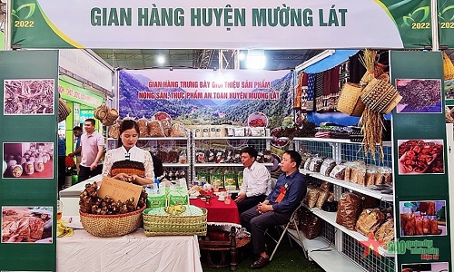thanh hoa