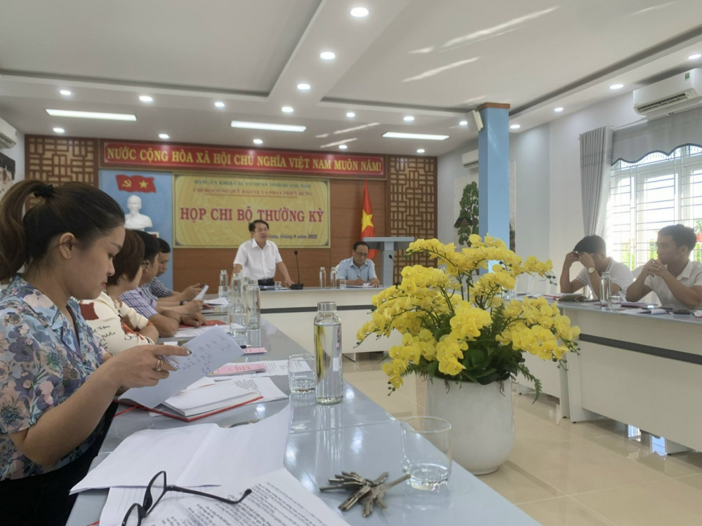 dịch vụ môi trường rừng