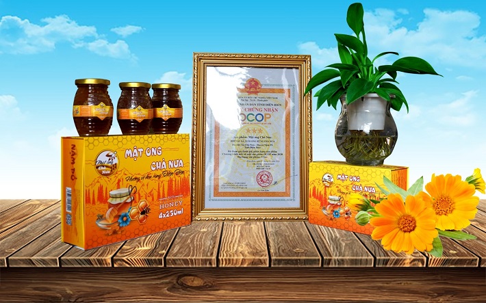 Nậm Pồ