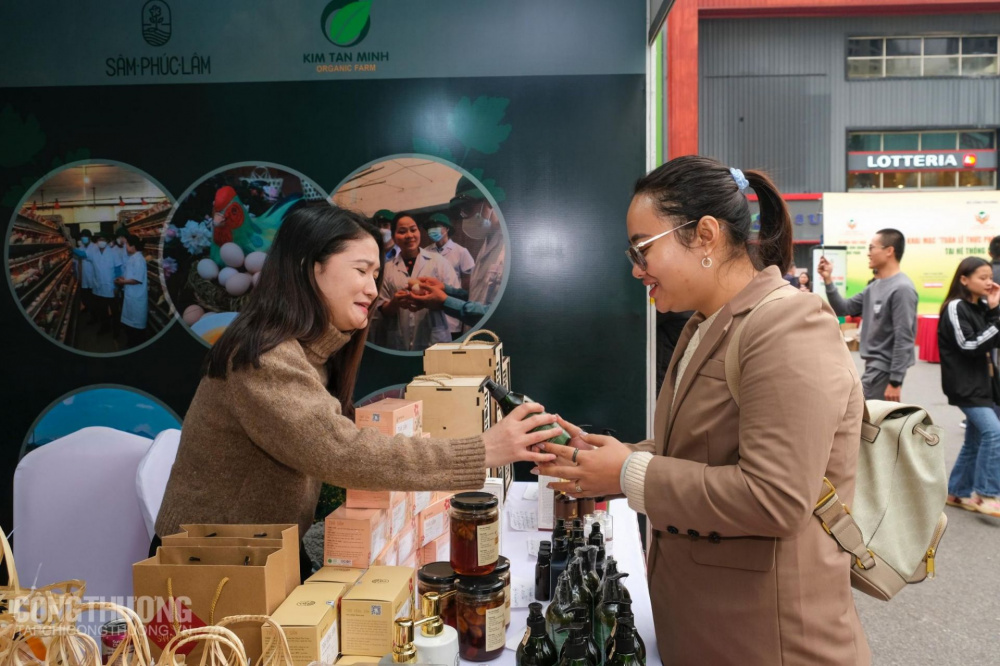 tuần lễ an toàn Link vào Cwin Cá Cược Thể Thao 2026 vùng miền