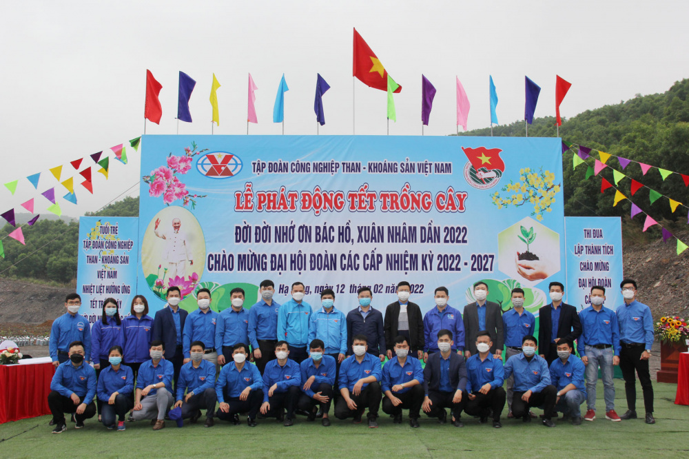 tkv 6