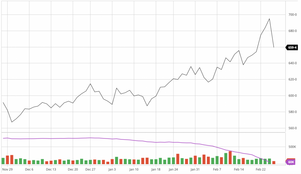 giá ngô