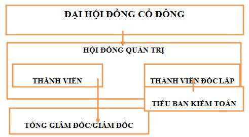 mo-hinh-hoi-dong-quan-tri-1-tang